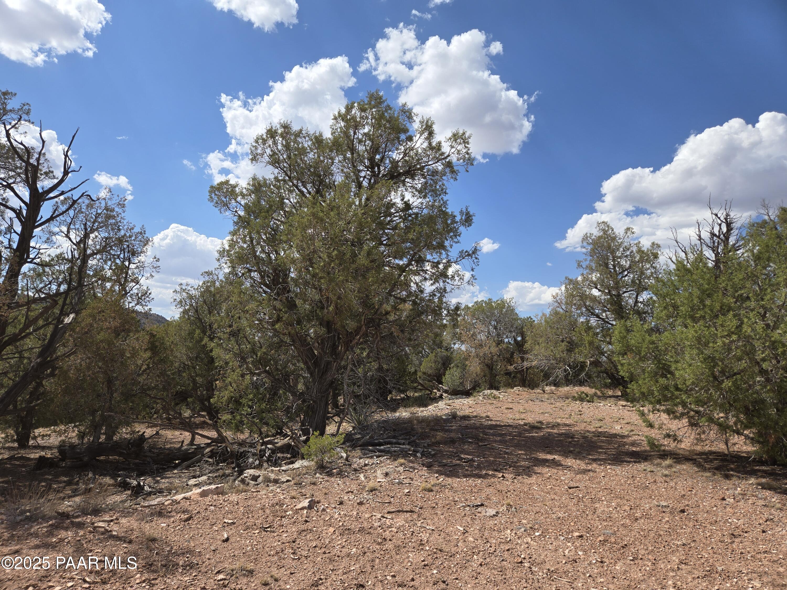 215 Off Cathedral Valley Ash Fork, AZ 86320 - Photo 15 of 24 20250809_145215