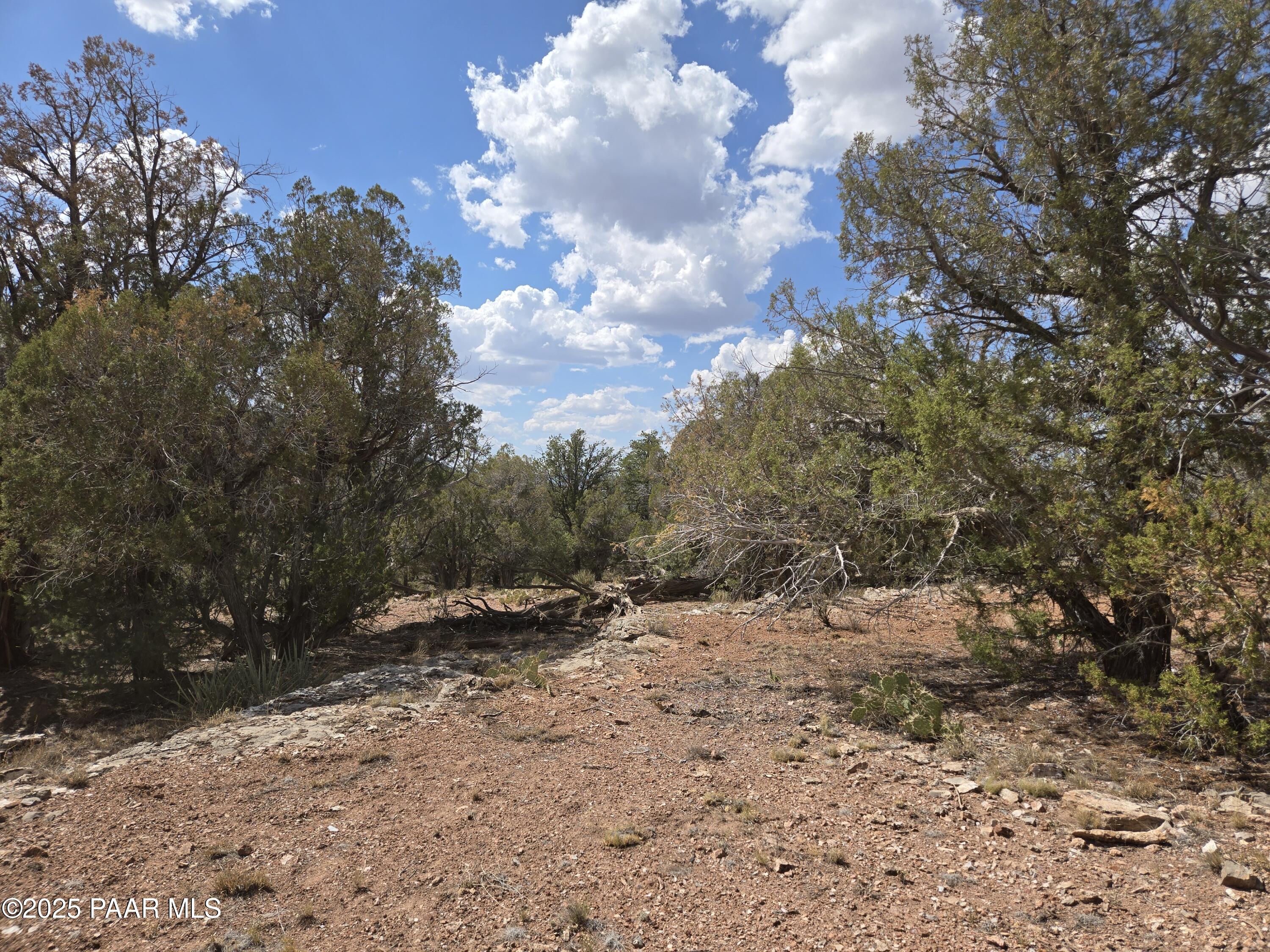 215 Off Cathedral Valley Ash Fork, AZ 86320 - Photo 16 of 24 20250809_145227