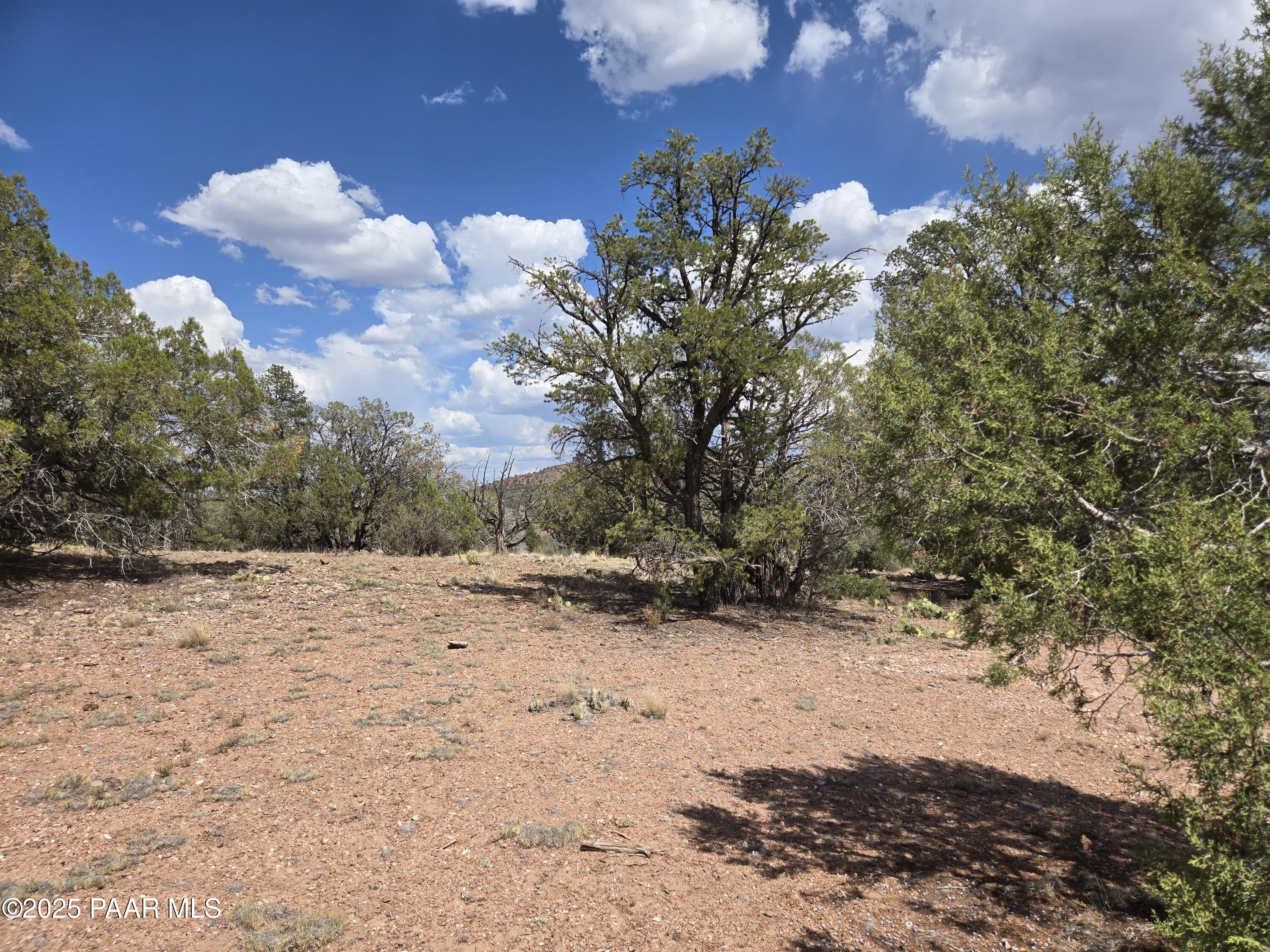 215 Off Cathedral Valley Ash Fork, AZ 86320 - Photo 17 of 24 20250809_145232