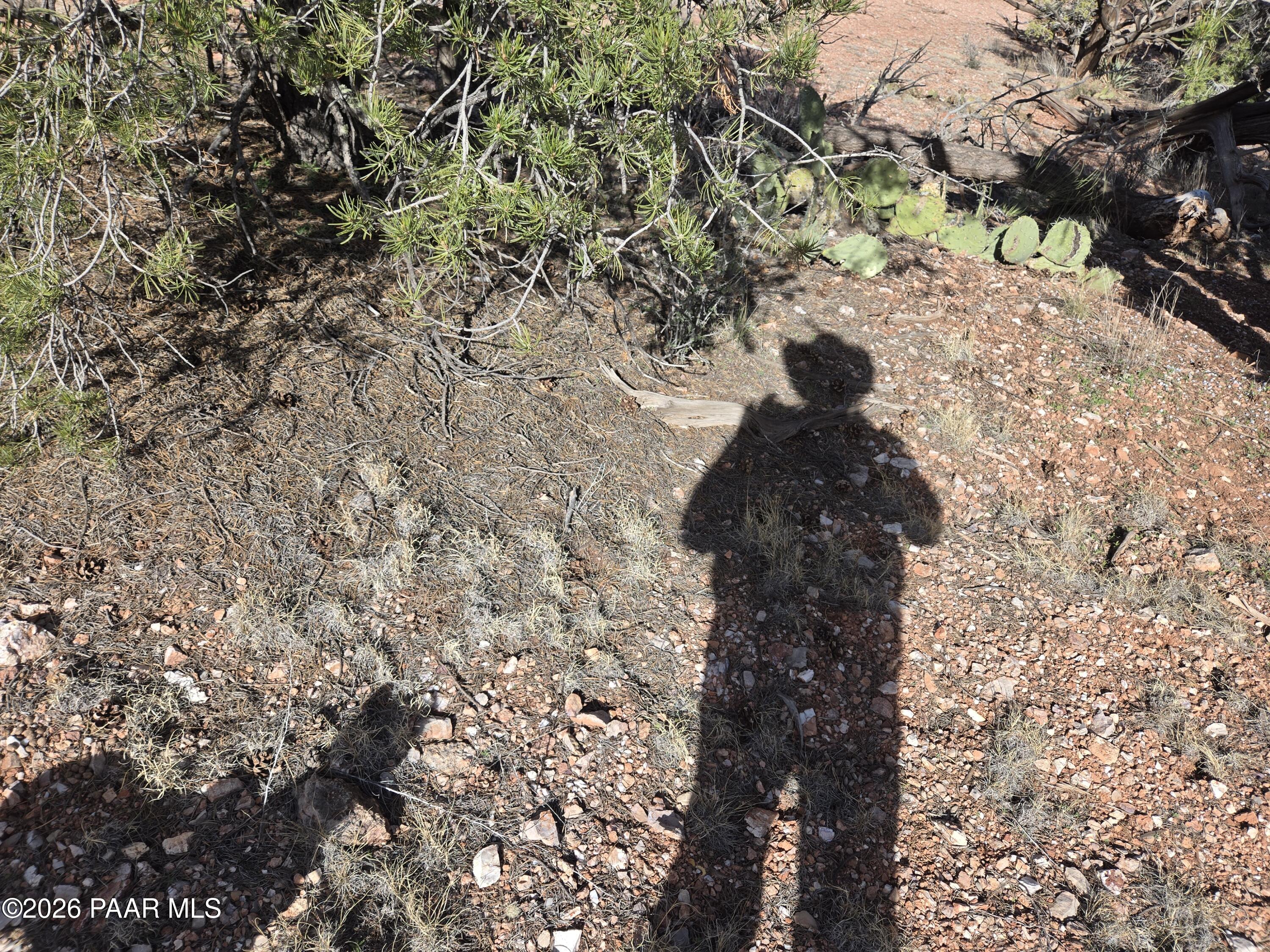 215 Off Cathedral Valley Ash Fork, AZ 86320 - Photo 24 of 24 1000027994