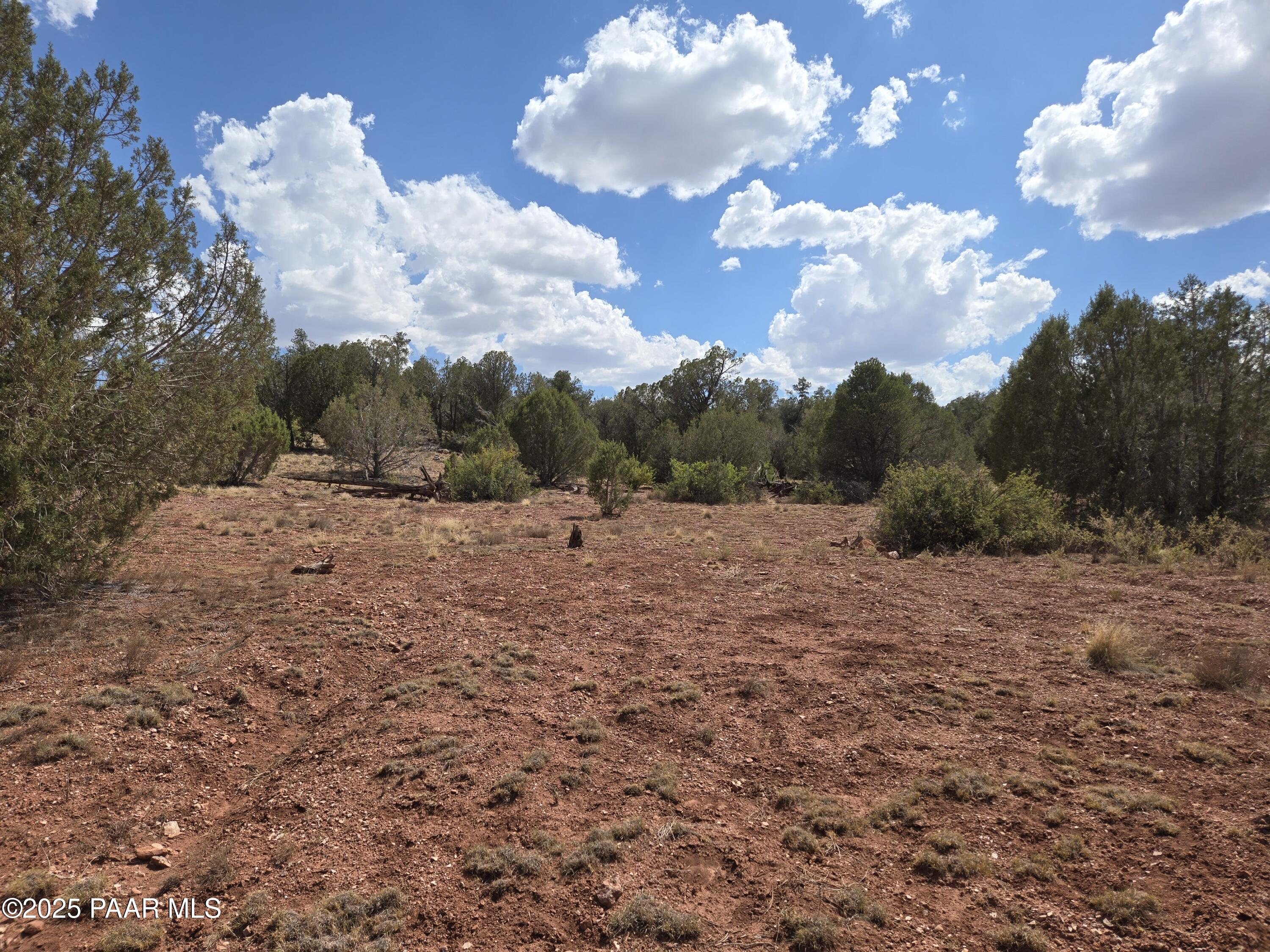 215 Off Cathedral Valley Ash Fork, AZ 86320 - Photo 5 of 24 20250809_144540