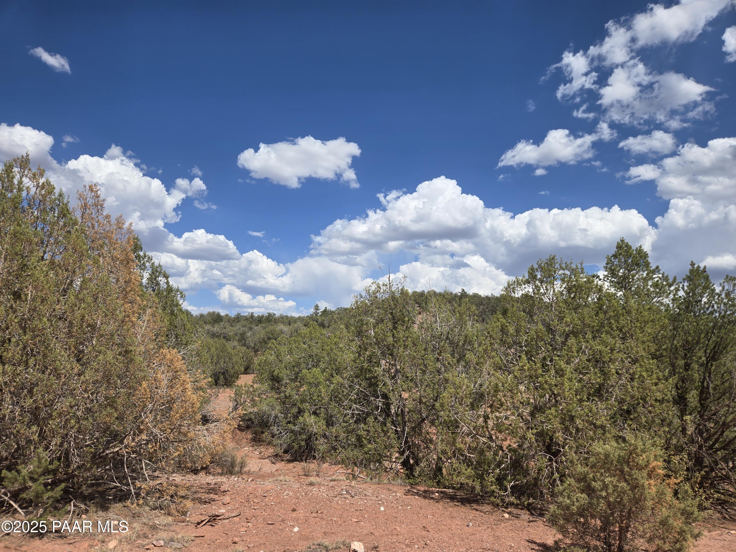 215 Off Cathedral Valley Ash Fork, AZ 86320 - Photo 6 of 24 20250809_144613