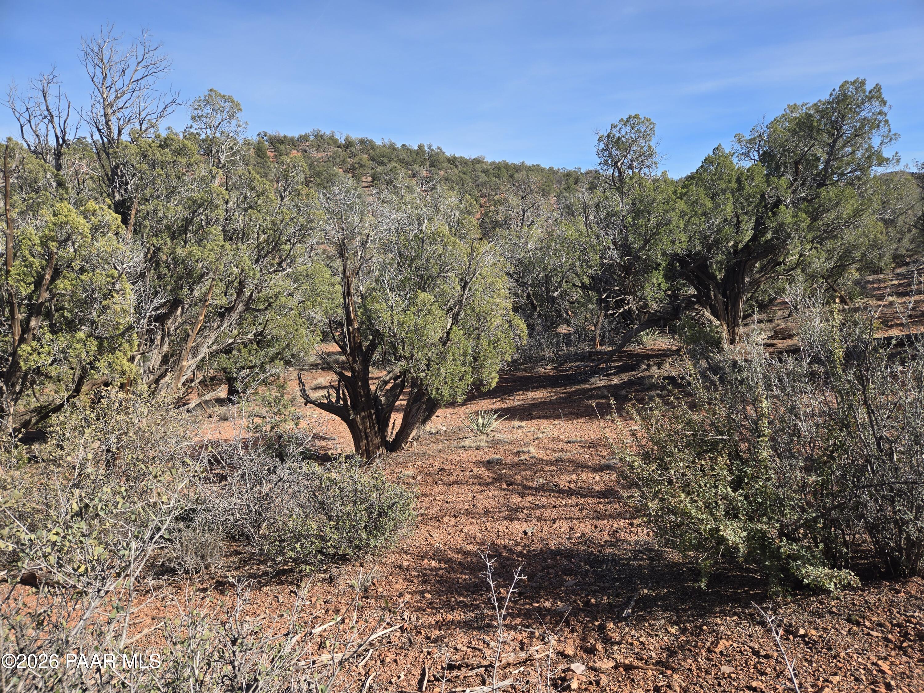 215 Off Cathedral Valley Ash Fork, AZ 86320 - Photo 7 of 24 1000028003