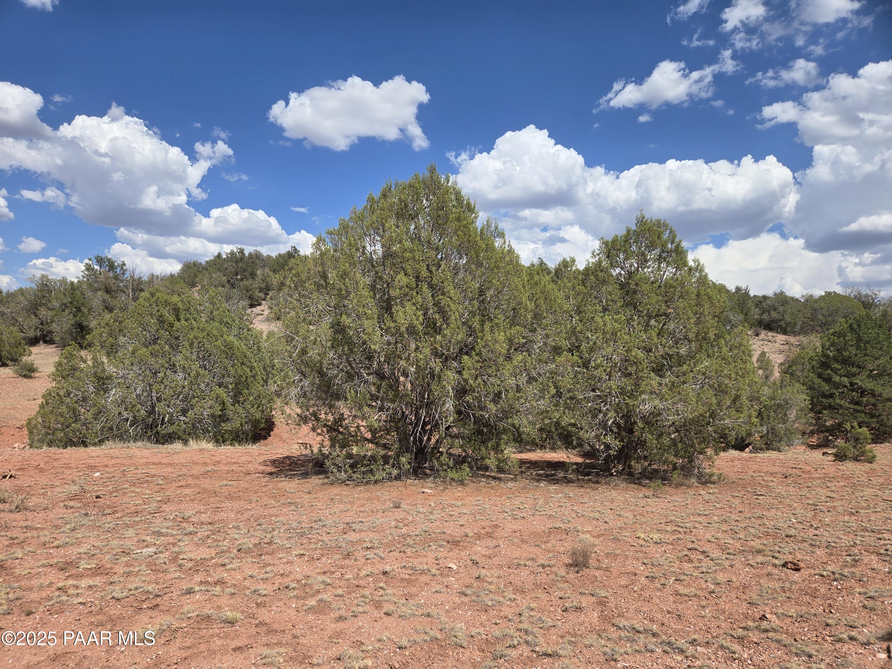 215 Off Cathedral Valley Ash Fork, AZ 86320 - Photo 8 of 24 20250809_144640