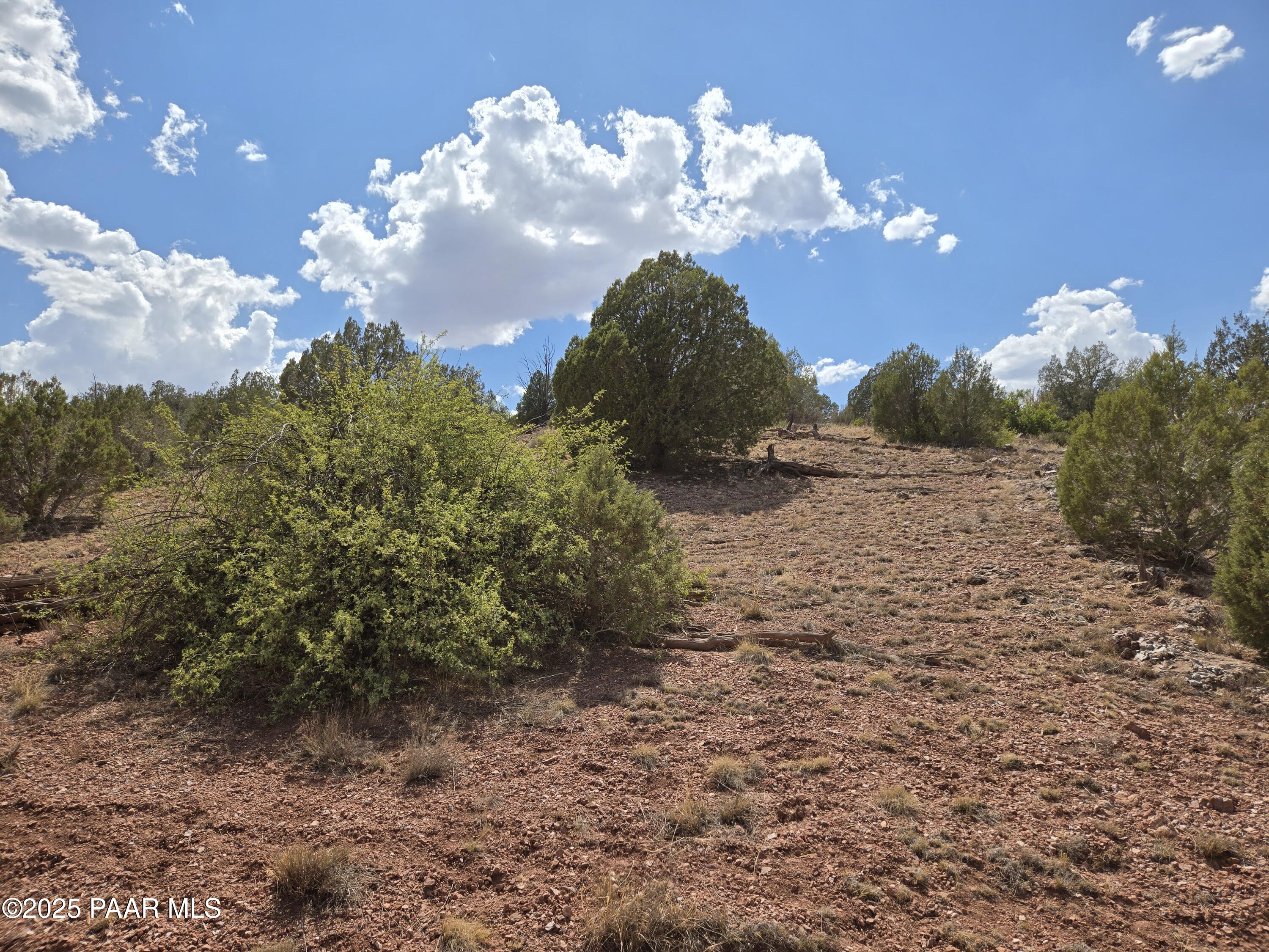 215 Off Cathedral Valley Ash Fork, AZ 86320 - Photo 9 of 24 20250809_144645