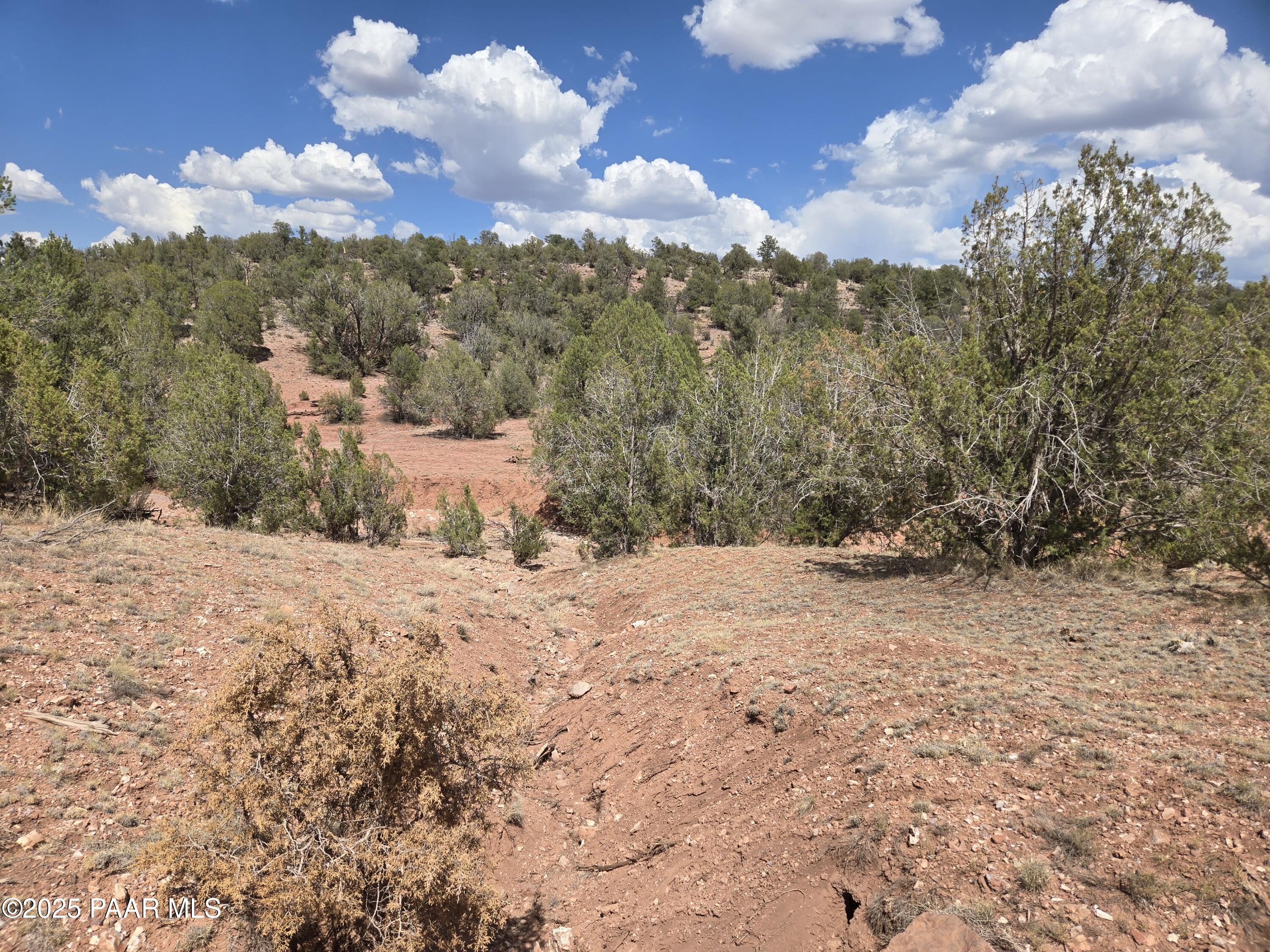 215 Off Cathedral Valley Ash Fork, AZ 86320 - Photo 10 of 24 20250809_144724