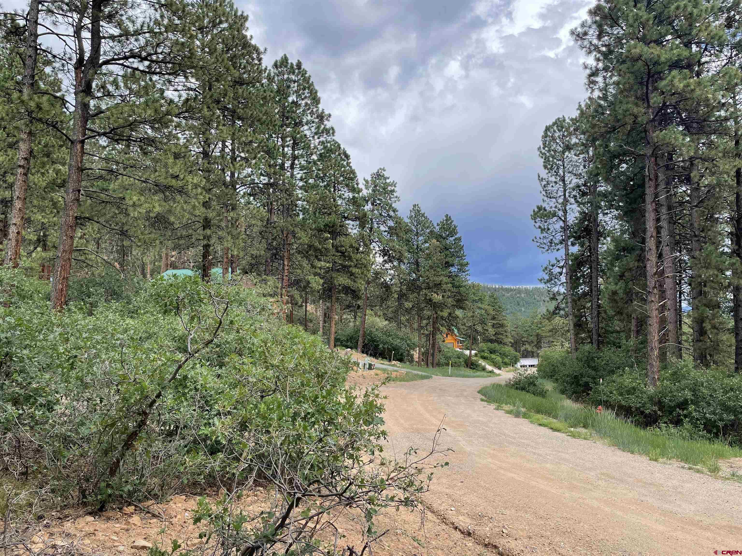 131 Blue Ridge Circle Bayfield, CO 81122 - Photo 4 of 5 Gallery Image 4