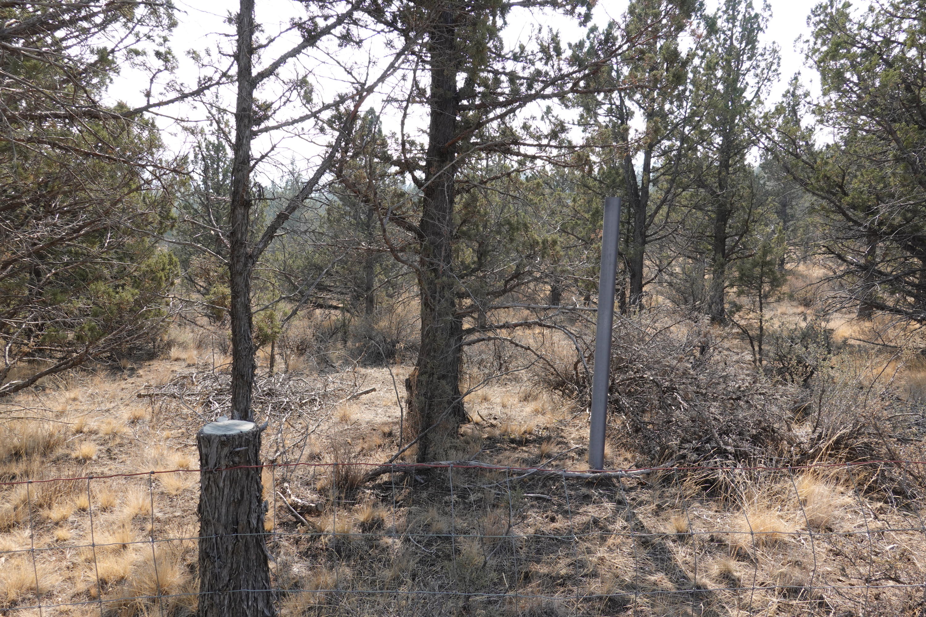 0 Southeast Dead End Road Prineville, OR 97754 - Photo 22 of 32 DSC00102