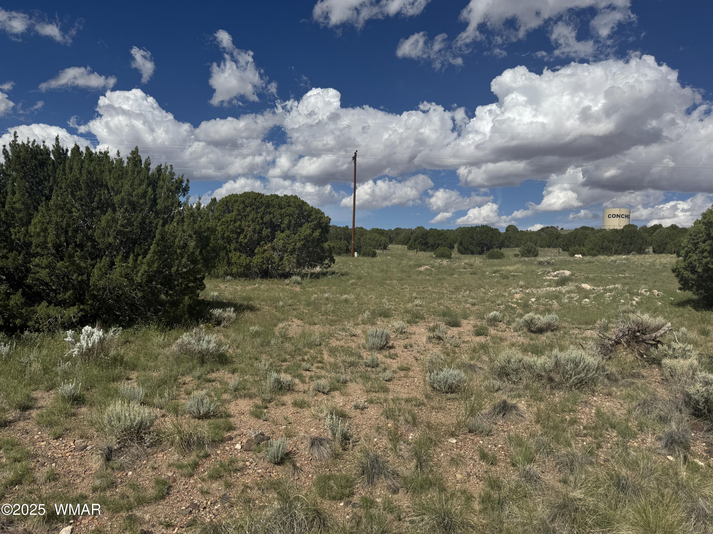 79 Alpine Lane Concho, AZ 85924 - Photo 1 of 11 IMG_4277