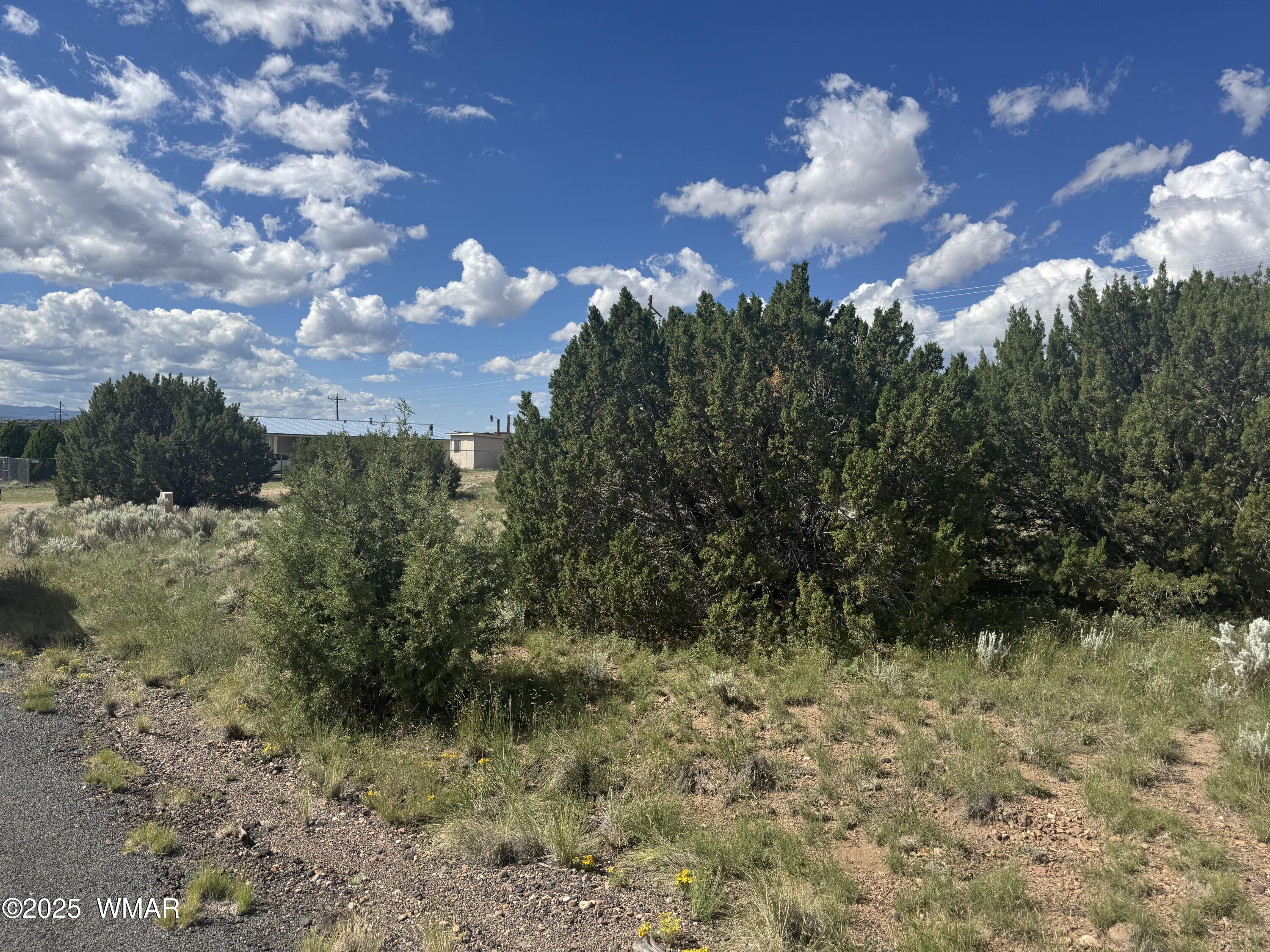79 Alpine Lane Concho, AZ 85924 - Photo 3 of 11 IMG_4278