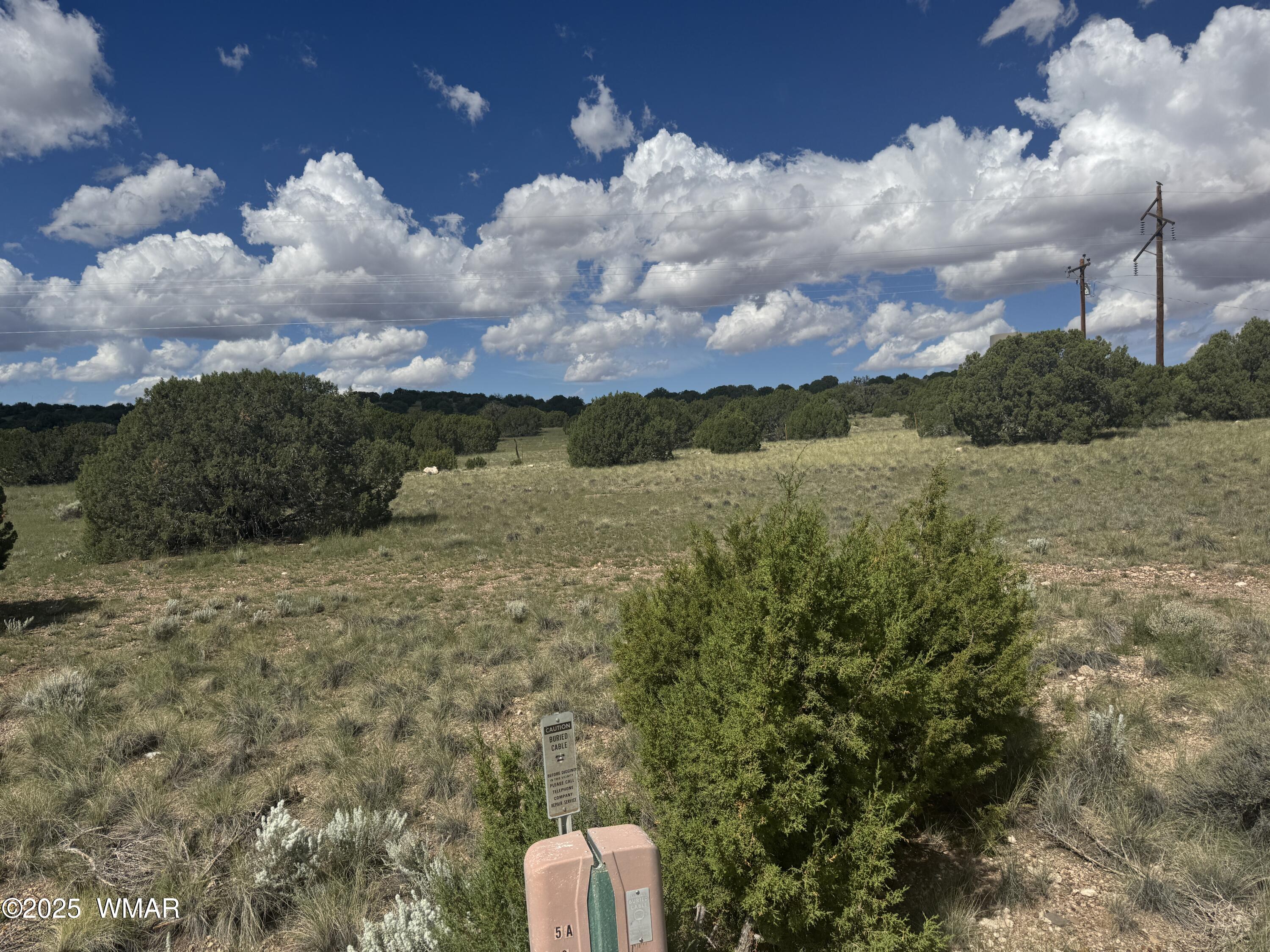 79 Alpine Lane Concho, AZ 85924 - Photo 6 of 11 IMG_4281