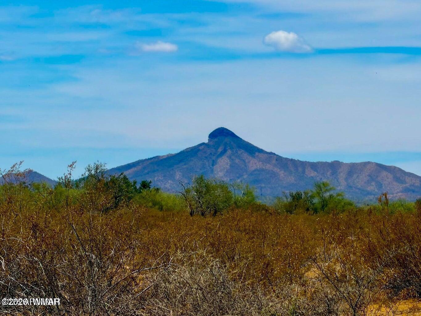 1654 South Ortega Road Stanfield, AZ 85172 - Photo 8 of 12 20260421022223063335000000-o (1)