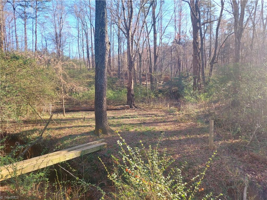 3264 Moores Spring Road Westfield, NC 27053 - Photo 4 of 7