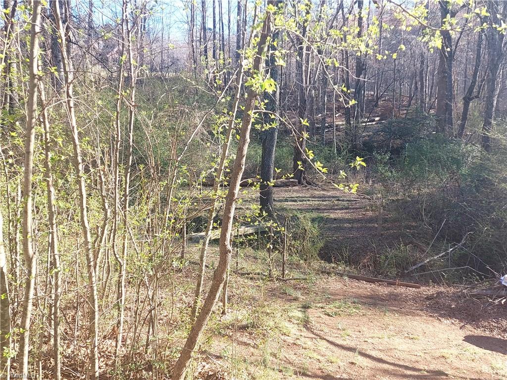 3264 Moores Spring Road Westfield, NC 27053 - Photo 5 of 7