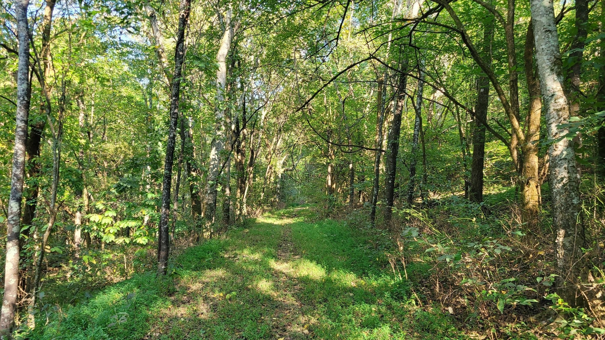 48 Hannah Branch Road Petersburg, TN 37144 - Photo 5 of 12 Gallery Image 5
