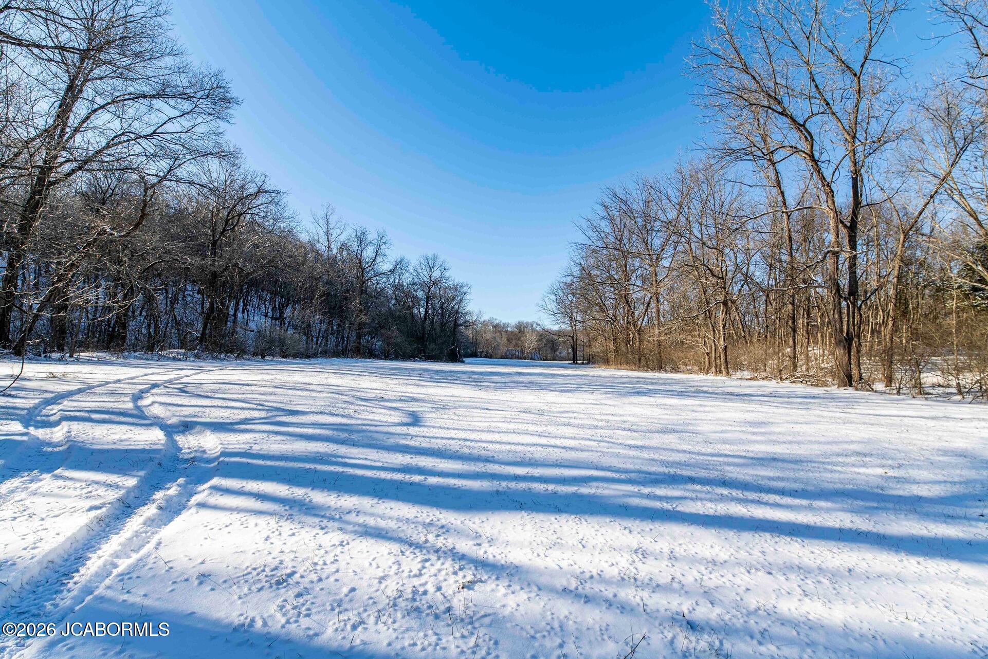 Tbd Talley Road Hartsburg, MO 65039 - Photo 31 of 106