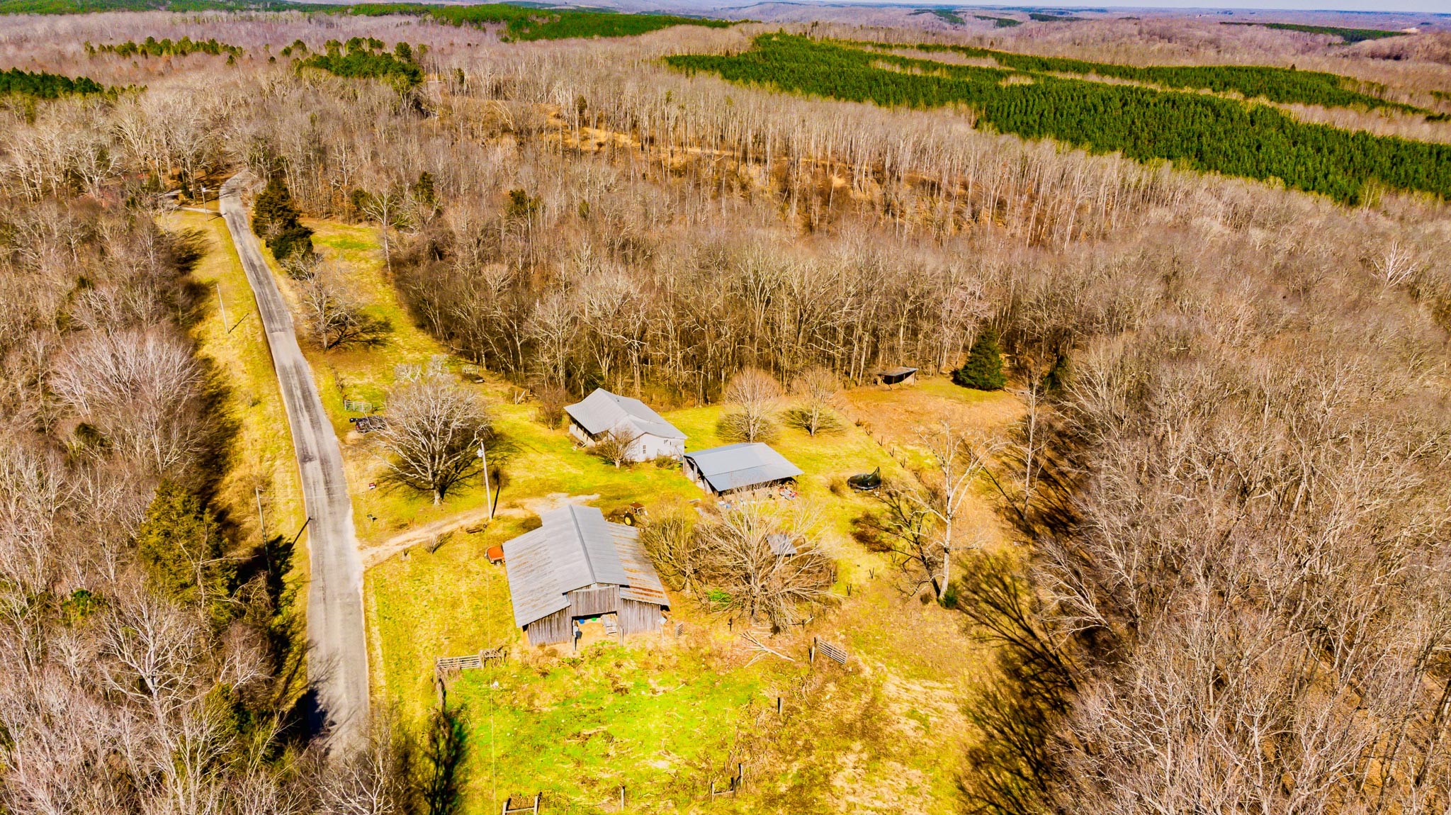 361 Ridge Road Westpoint, TN 38486 - Photo 6 of 18 a view of a yard with a trees