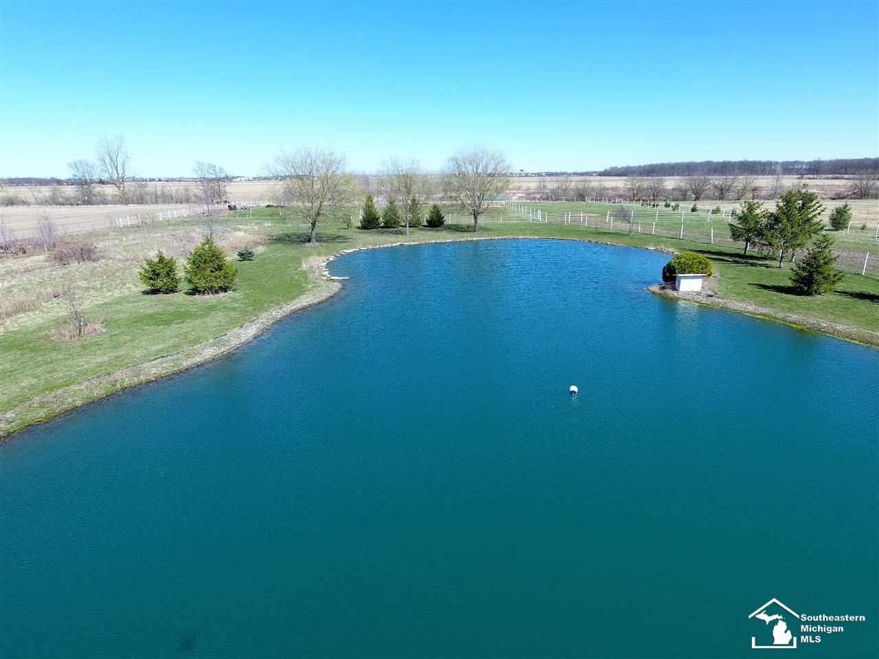 4400 Petersburg Road Dundee, MI 48131 - Photo 9 of 21