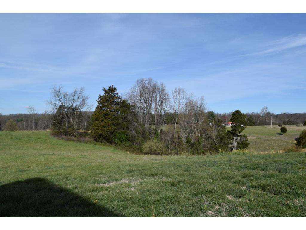 671 Old Embreeville Road Jonesborough, TN 37659 - Photo 10 of 24 Photo 10