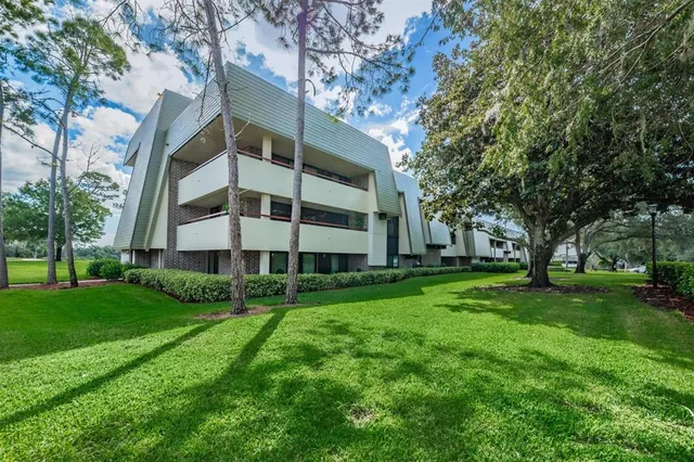 a view of a garden with plants
