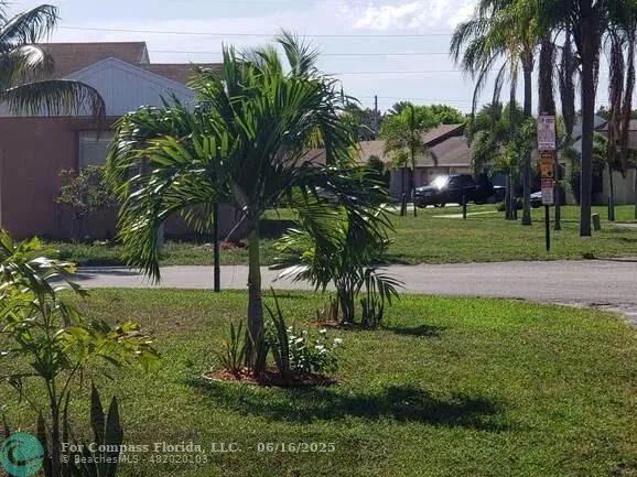 a view of a garden with a tree