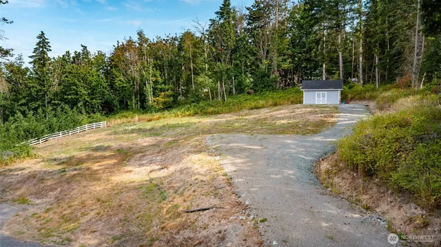 a view of a yard with plants and trees