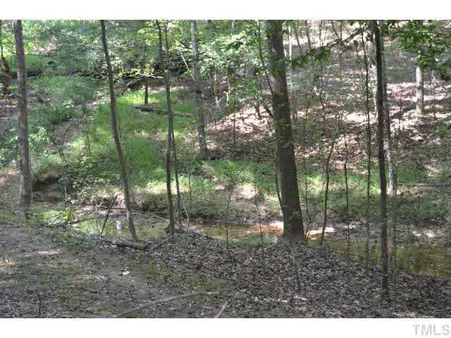 245 Fox Ridge Pittsboro, NC 27312 - Photo 16 of 25 This is the creek to the rear of the property.