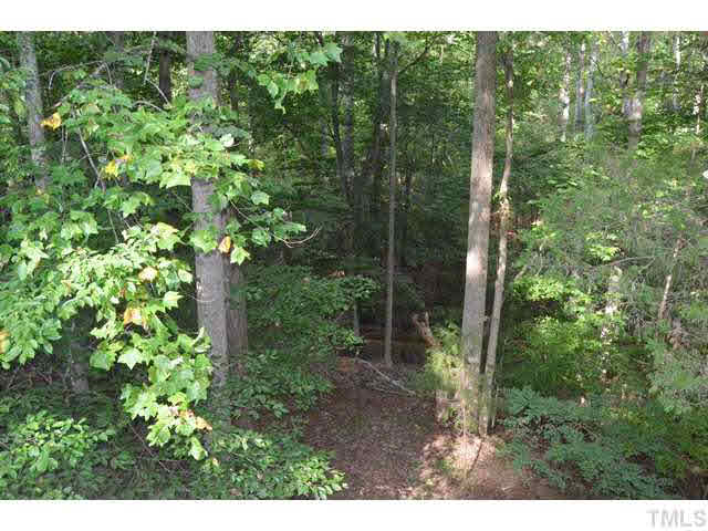 245 Fox Ridge Pittsboro, NC 27312 - Photo 17 of 25 View of the woods from the rear stoop.
