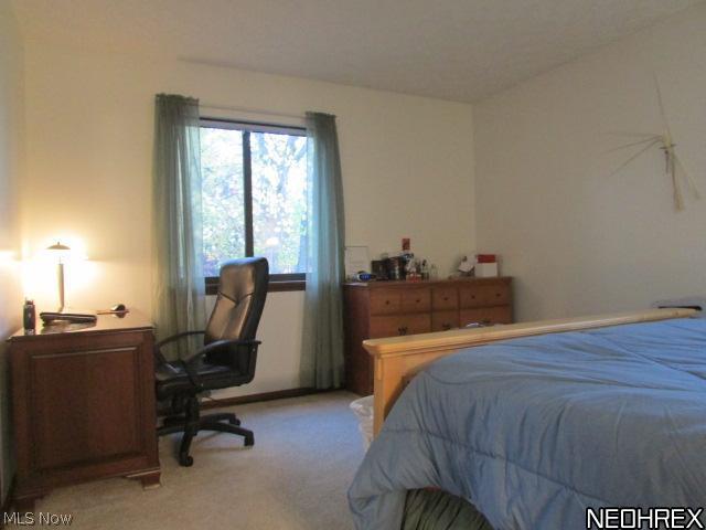 2860 Narrows Road Perry, OH 44081 - Photo 11 of 25