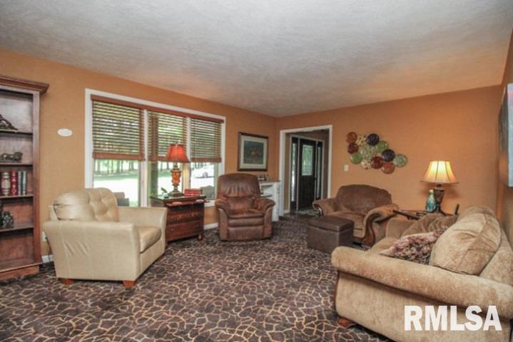 15602 West Schlink Road Brimfield, IL 61517 - Photo 6 of 36