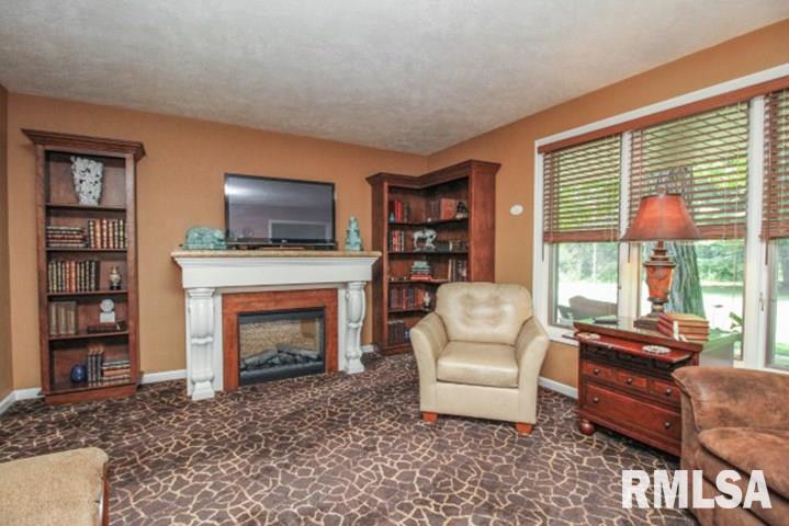 15602 West Schlink Road Brimfield, IL 61517 - Photo 8 of 36
