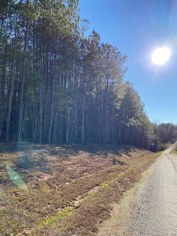 1 Philadelphia Church Road, Unit 1 Lincolnton, NC 28092 - Photo 3 of 10 Gallery Image 3