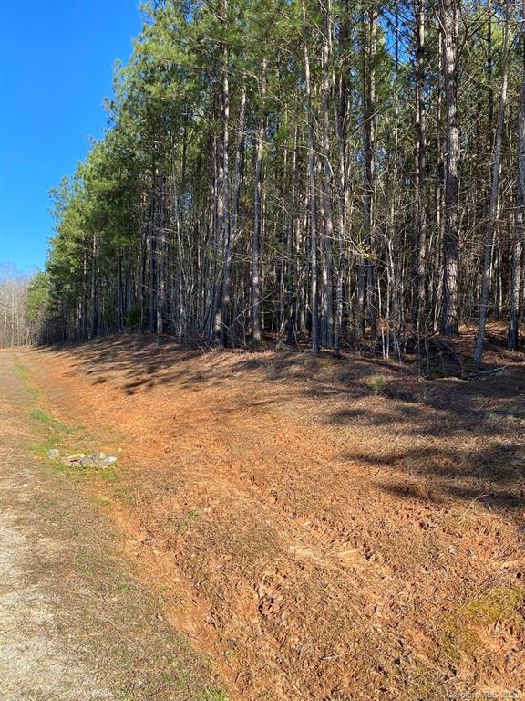 1 Philadelphia Church Road, Unit 1 Lincolnton, NC 28092 - Photo 4 of 10 Gallery Image 4