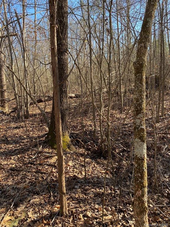 1 Philadelphia Church Road, Unit 1 Lincolnton, NC 28092 - Photo 5 of 10 Gallery Image 5