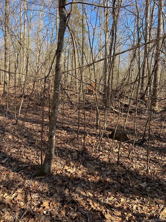 1 Philadelphia Church Road, Unit 1 Lincolnton, NC 28092 - Photo 6 of 10 Gallery Image 6