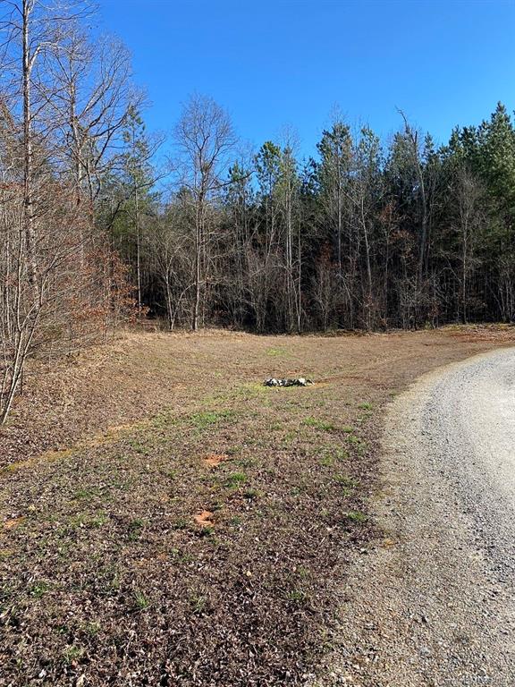 1 Philadelphia Church Road, Unit 1 Lincolnton, NC 28092 - Photo 8 of 10 Gallery Image 8