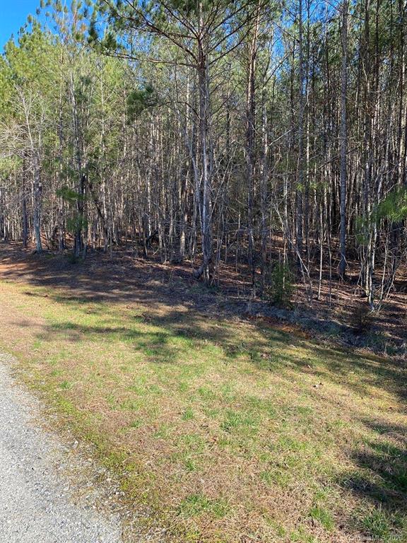 1 Philadelphia Church Road, Unit 1 Lincolnton, NC 28092 - Photo 9 of 10 Gallery Image 9
