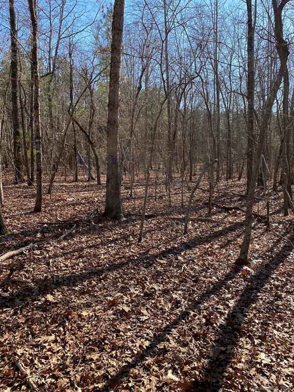 1 Philadelphia Church Road, Unit 1 Lincolnton, NC 28092 - Photo 10 of 10 Gallery Image 10
