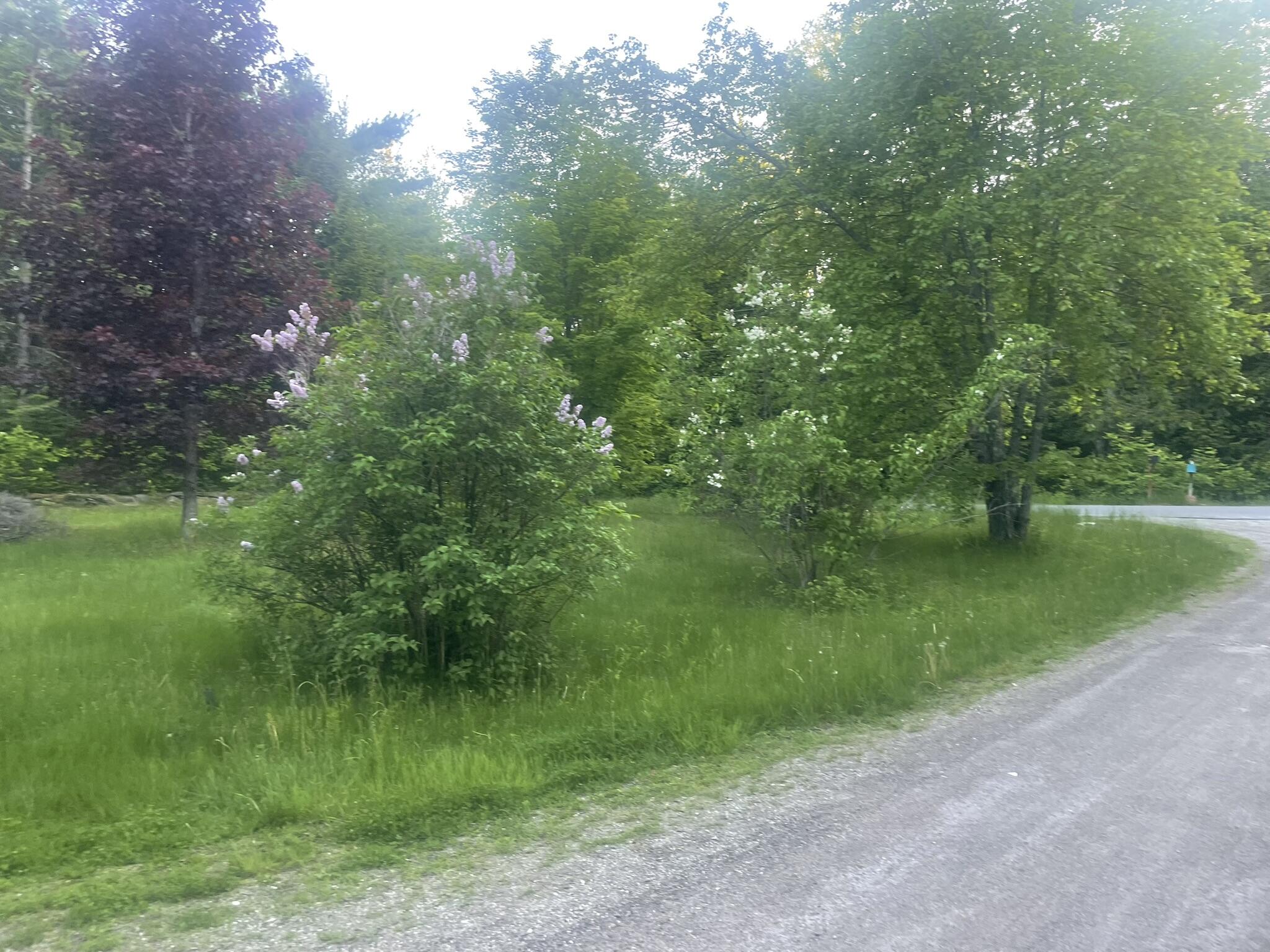 1075 Hill Road Clinton, ME 04927 - Photo 67 of 172 IMG_5631
