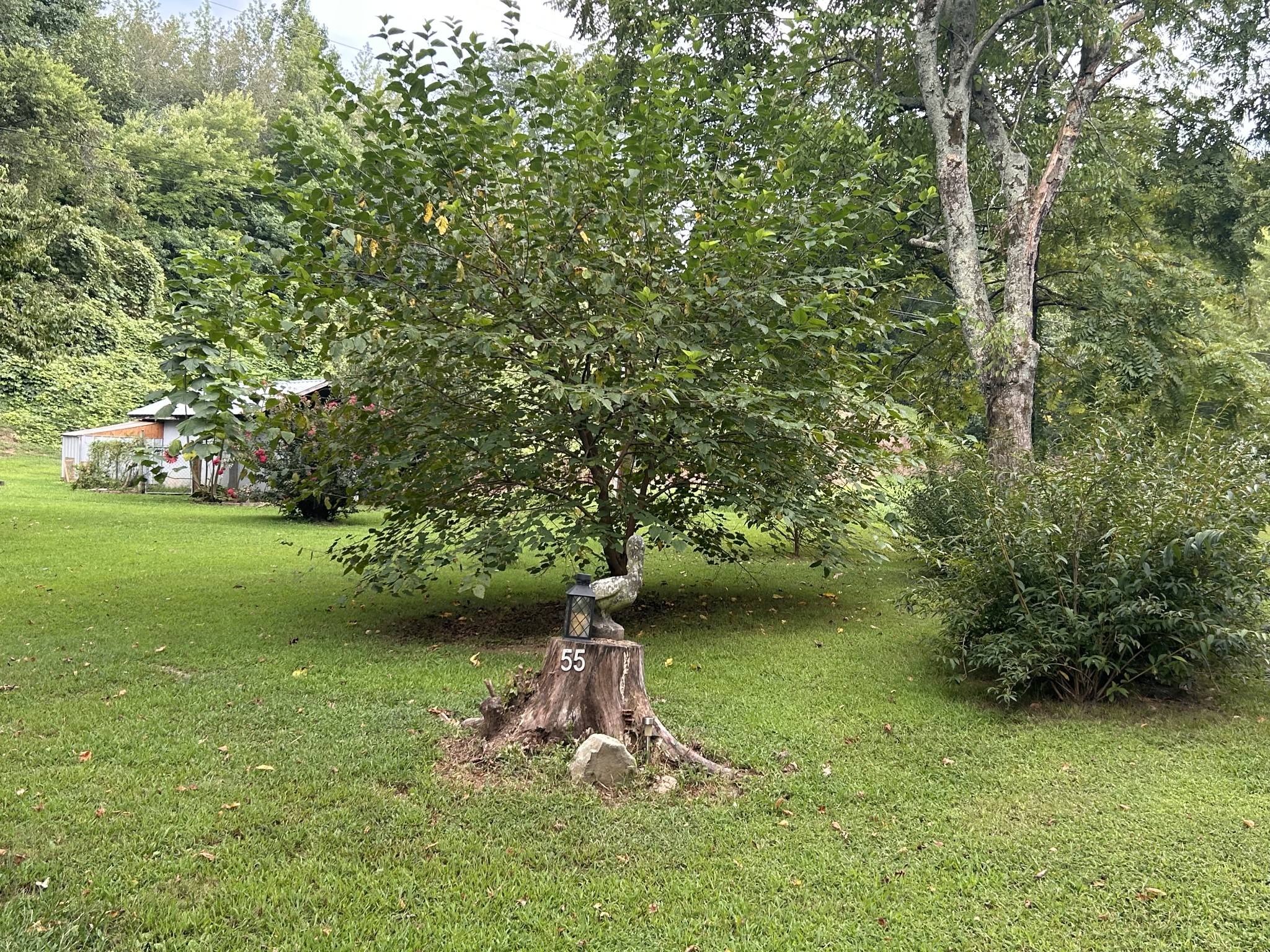 55 Waterfork Road Ethridge, TN 38456 - Photo 54 of 58 Gallery Image 54