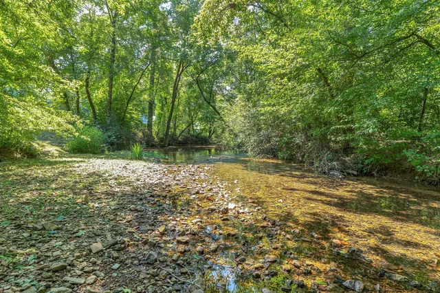 a view of a yard with a tree