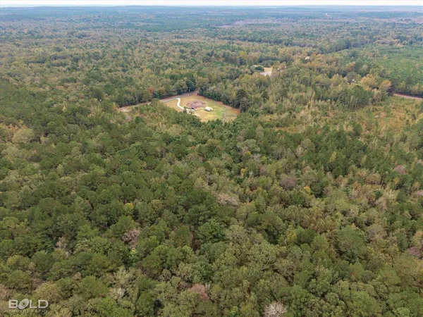 an aerial view of forest