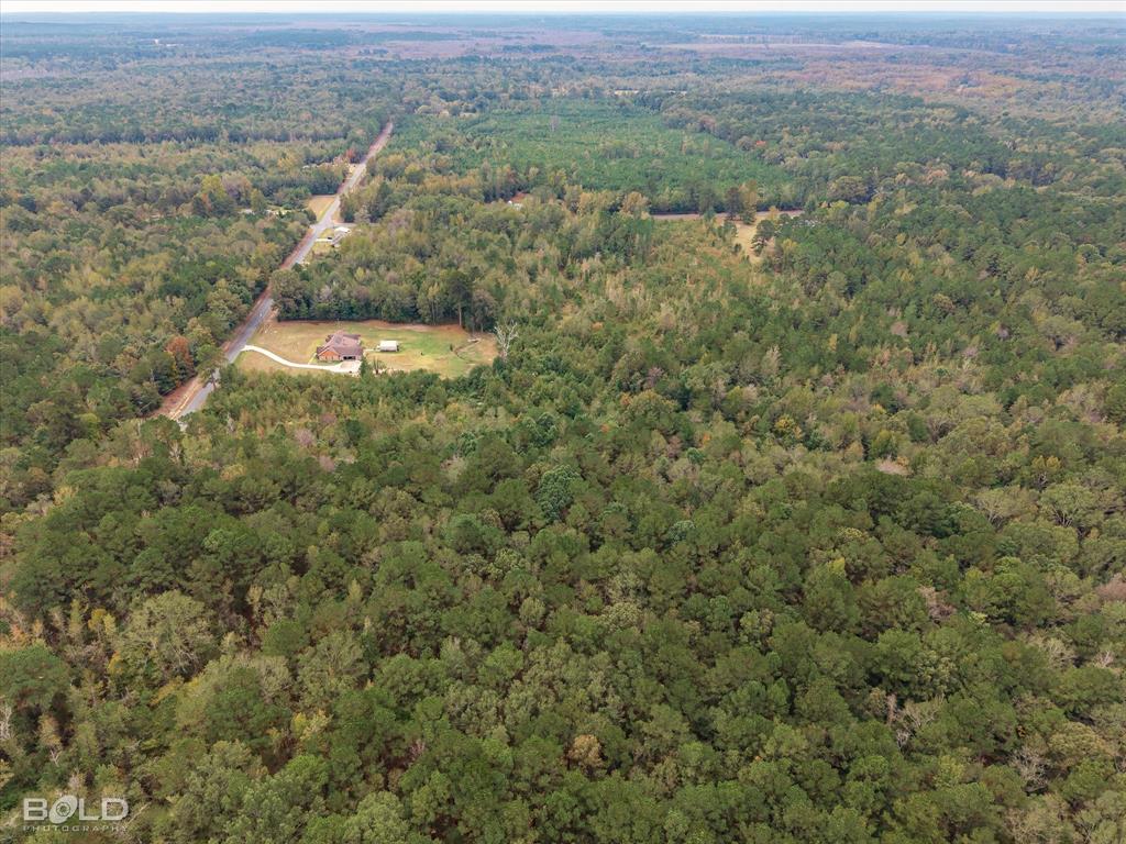 17788 Rodessa Church Road Rodessa, LA 71069 - Photo 8 of 11 an aerial view of forest
