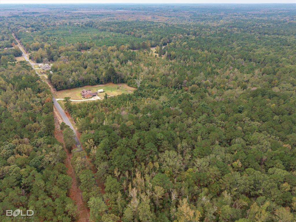17788 Rodessa Church Road Rodessa, LA 71069 - Photo 9 of 11 a view of a big yard with green space and mountain view in back