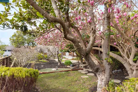 a view of a backyard