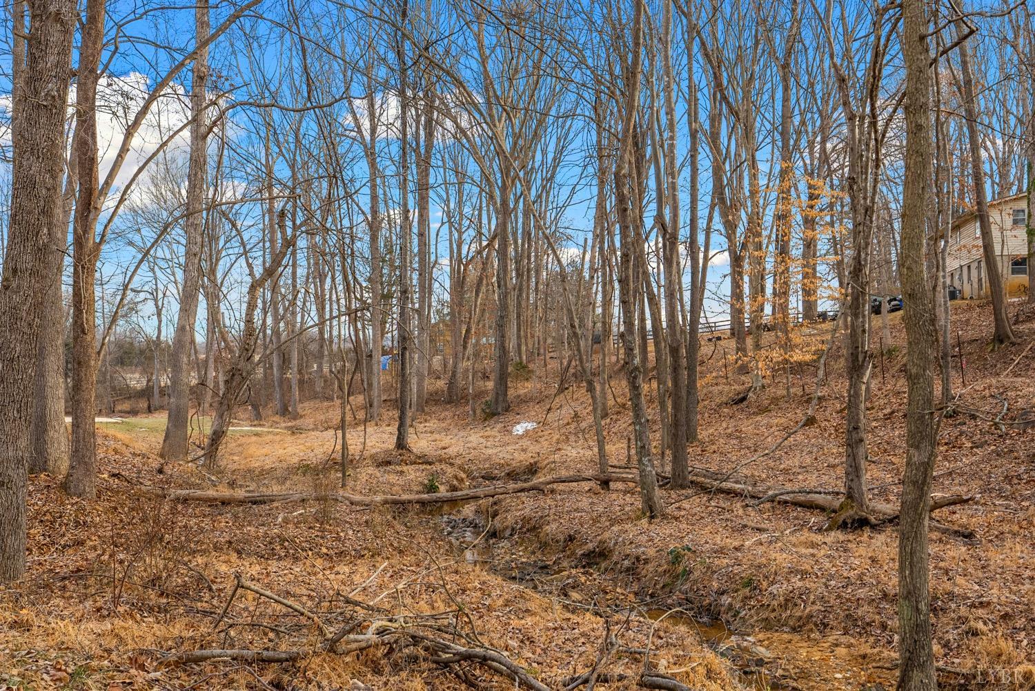 5308 Everett Road Forest, VA 24551 - Photo 15 of 77 Gallery Image 15