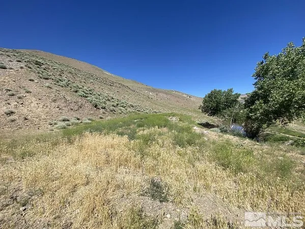 a view of a dry yard with wooden fence
