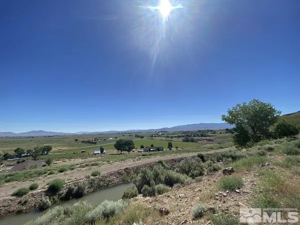 a view of a field with lots of bushes