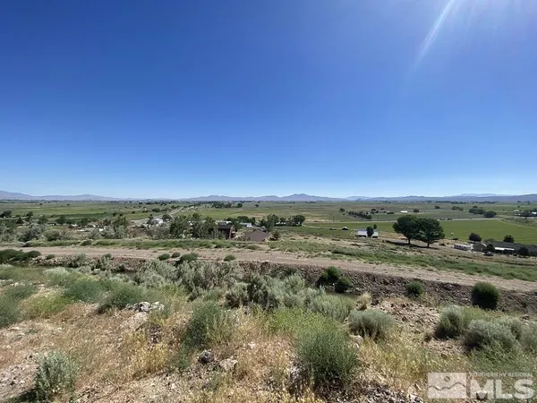 a view of a big yard with lots of palm trees