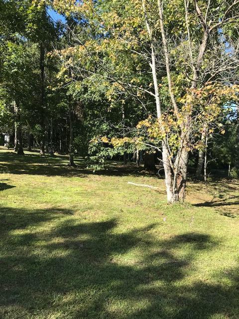 161 Holly Road Beattyville, KY 41311 - Photo 21 of 23 IMG_9145